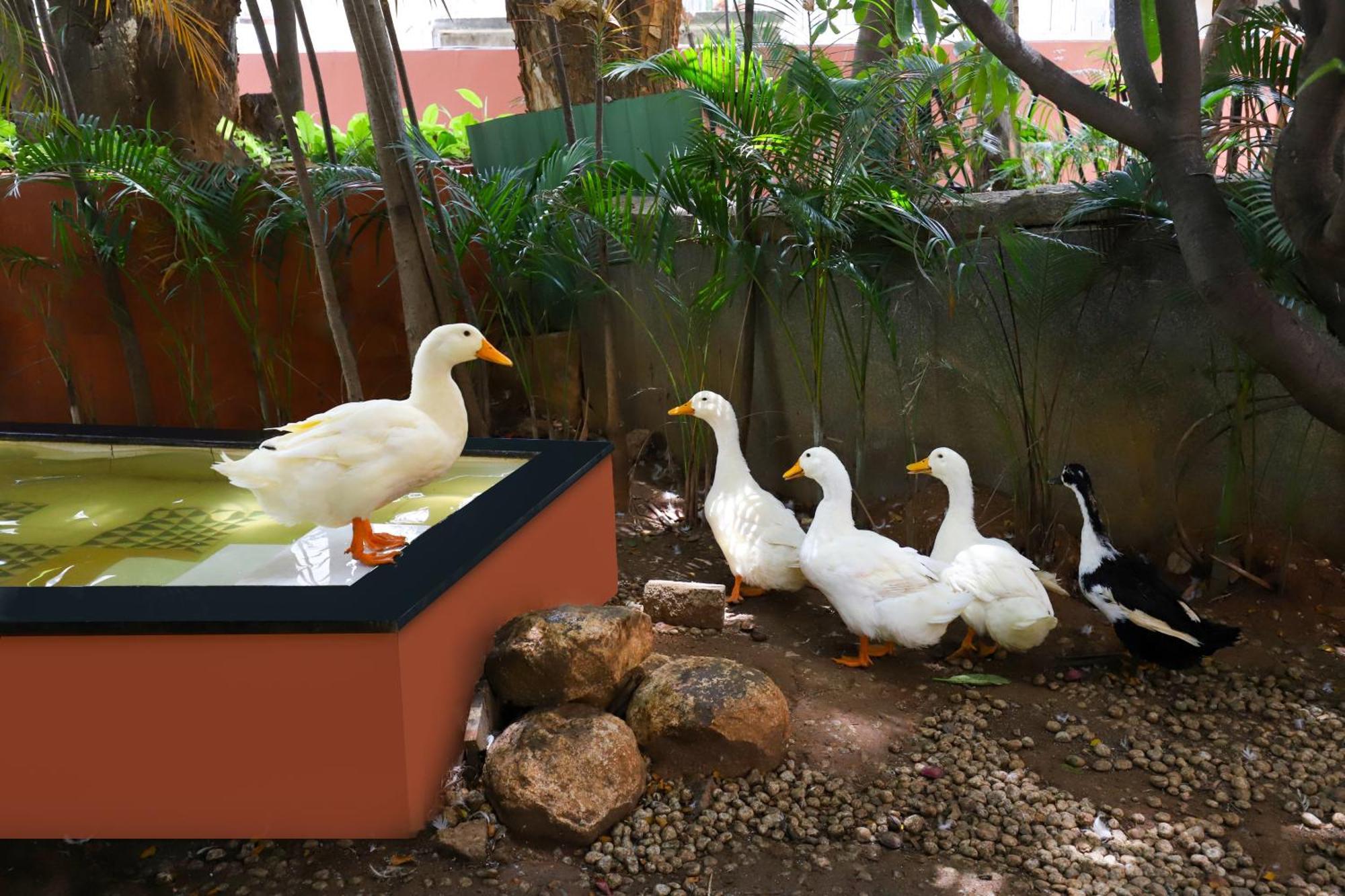 Lemon Tree Suites, Whitefield, Bengaluru Екстер'єр фото