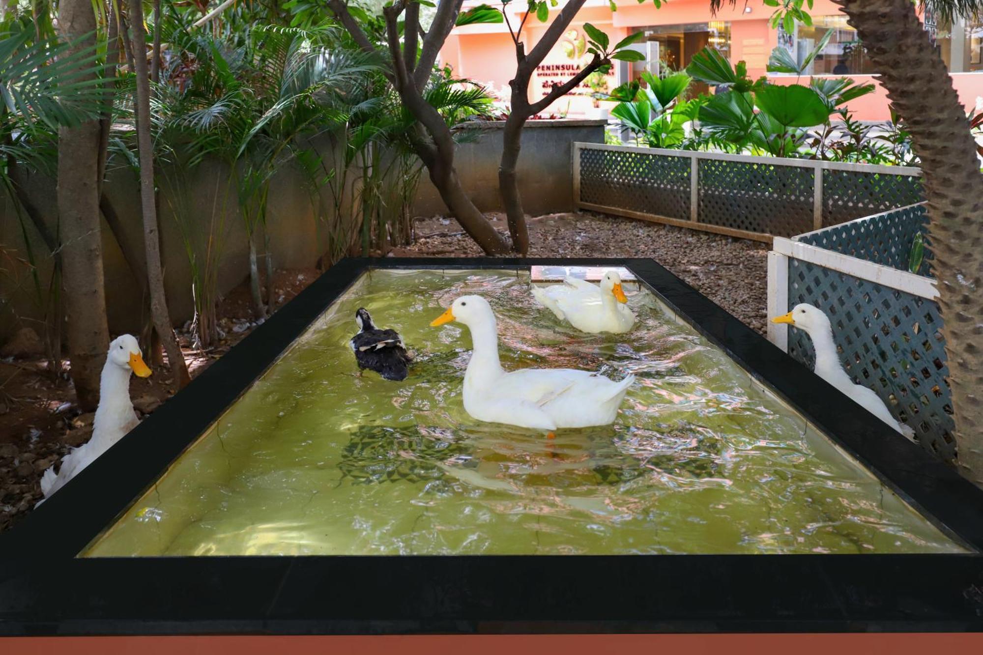 Lemon Tree Suites, Whitefield, Bengaluru Екстер'єр фото